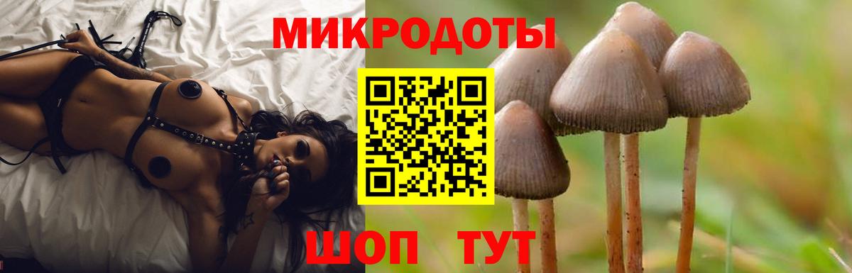 Галлюциногенные грибы ЛСД Новоалтайск